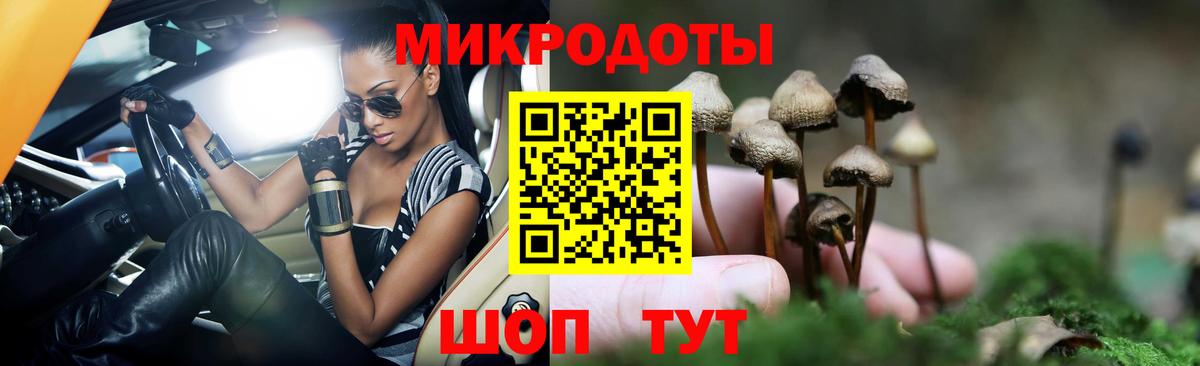 Псилоцибиновые грибы Psilocybe  Вход с VPN  Галлюциногенные грибы Psilocybine cubensis  Губаха 